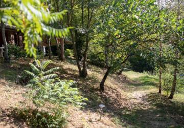 Les Chalets de la Gazonne