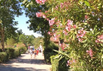 Camping Les Cabanes d'Oléron