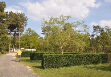 Camping L'Orée du Bois - Aloa Vacances