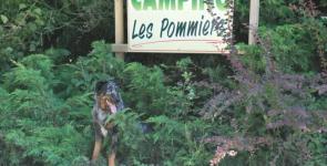 Camping Les Pommiers Pays d'Auge